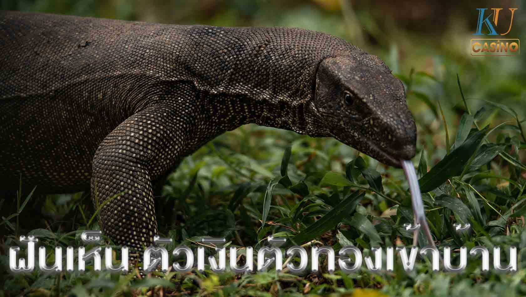 ฝันเห็น ตัวเงินตัวทองเข้าบ้าน