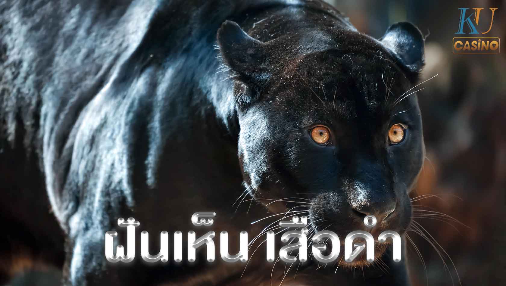 ฝันเห็น เสือดำ