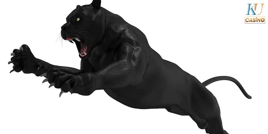 ฝันเห็น เสือดำ