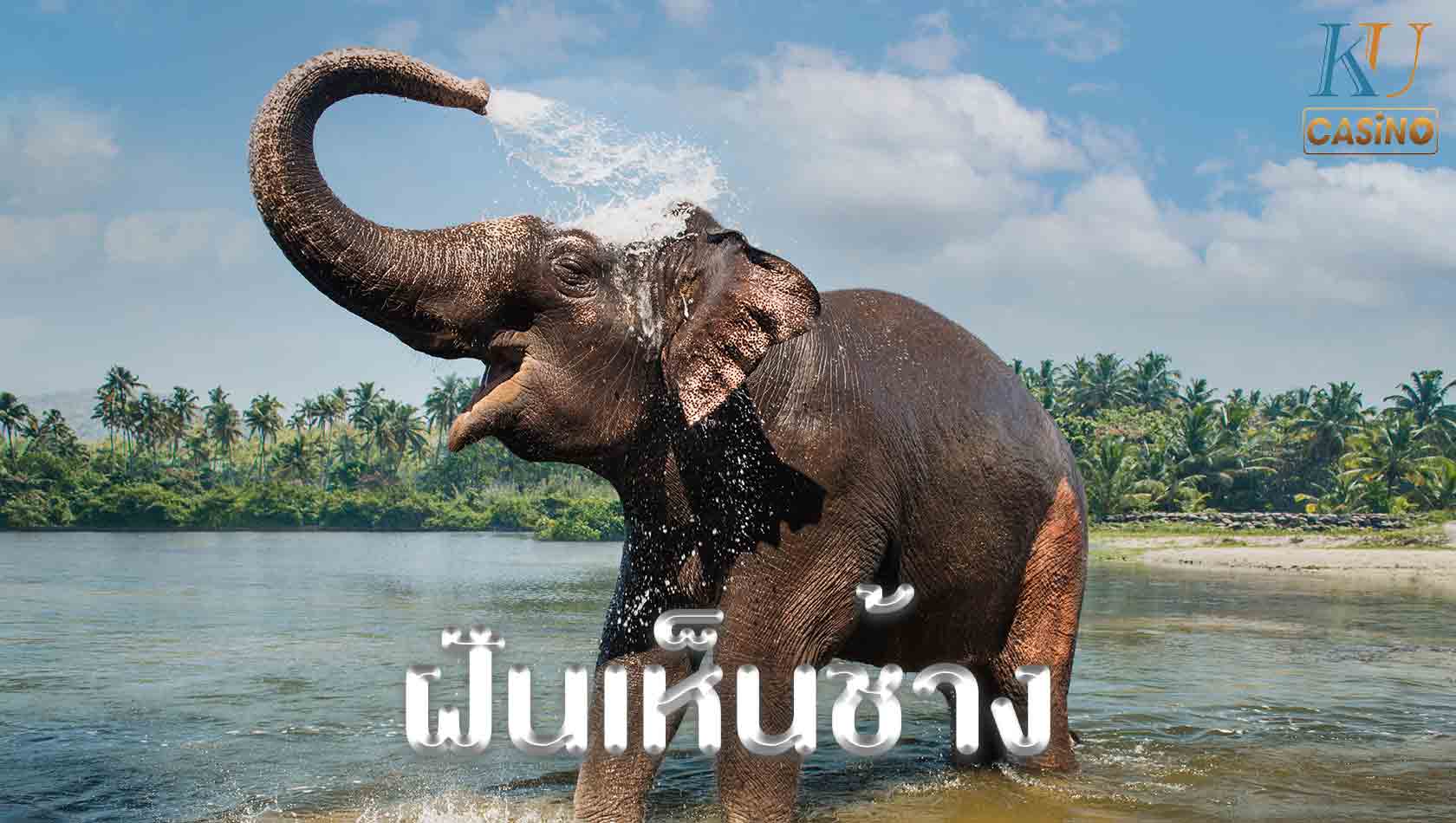 ฝันเห็นช้าง เลข