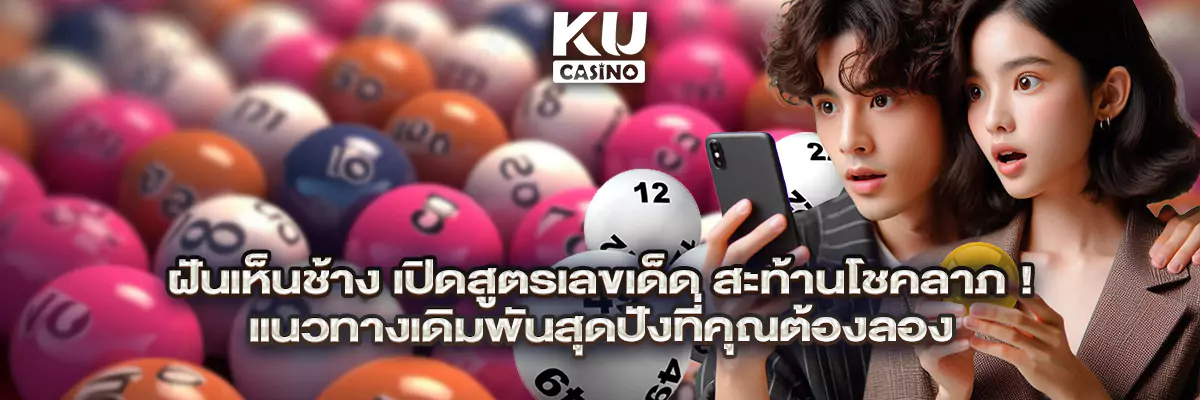 ฝันเห็นช้าง เปิดสูตรเลขเด็ด สะท้านโชคลาภ! แนวทางเดิมพันสุดปังที่คุณต้องลอง