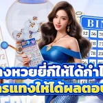 แทงหวยยี่กีให้ได้กำไร! เรียนรู้การแทงให้ได้ผลตอบแทนสูง